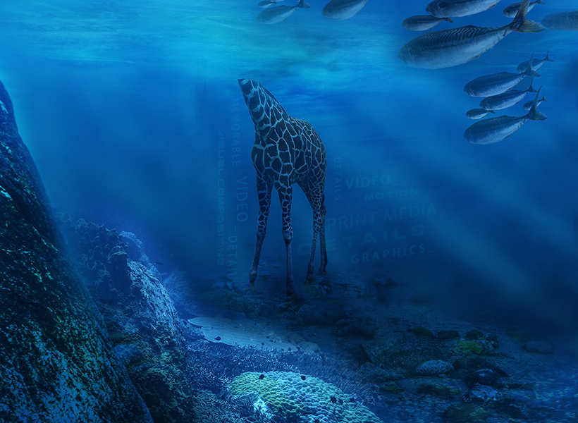A Creative Flood | Jeff Olson Portfolio of Print & Motion Graphic Design Effects